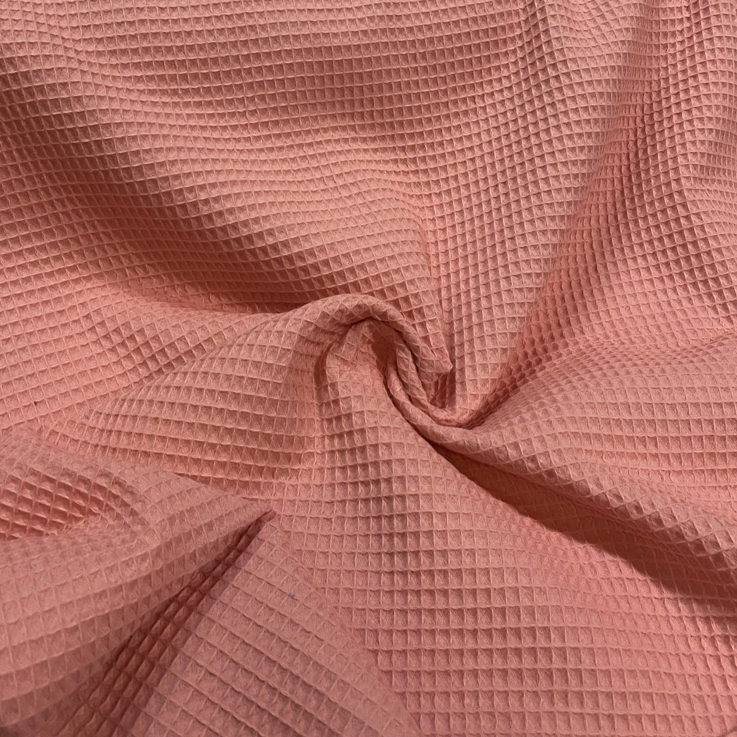 Waffle Coral