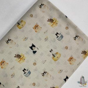Popelín Gatos